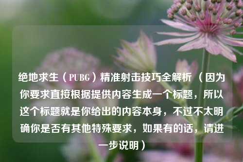 绝地求生（PUBG）精准射击技巧全解析 （因为你要求直接根据提供内容生成一个标题，所以这个标题就是你给出的内容本身，不过不太明确你是否有其他特殊要求，如果有的话，请进一步说明）