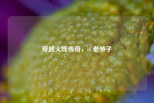 穿越火线传奇，cf 老爷子