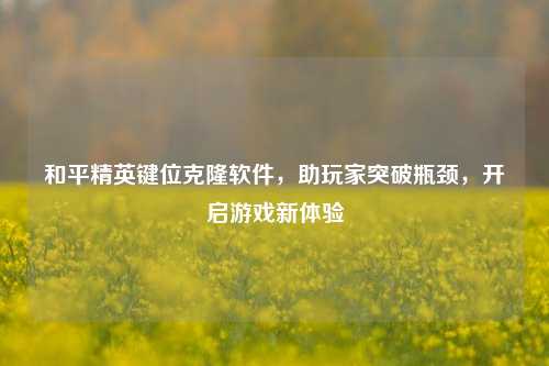 和平精英键位克隆软件，助玩家突破瓶颈，开启游戏新体验