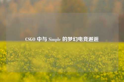 CSGO 中与 Simple 的梦幻电竞邂逅