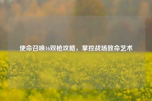 使命召唤16双枪攻略，掌控战场致命艺术