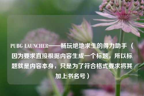PUBG LAUNCHER——畅玩绝地求生的得力助手 （因为要求直接根据内容生成一个标题，所以标题就是内容本身，只是为了符合格式要求将其加上书名号）