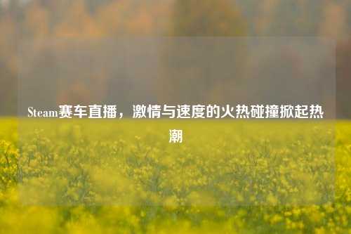 Steam赛车直播，激情与速度的火热碰撞掀起热潮