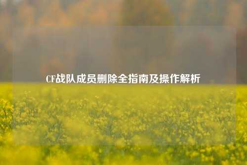 CF战队成员删除全指南及操作解析