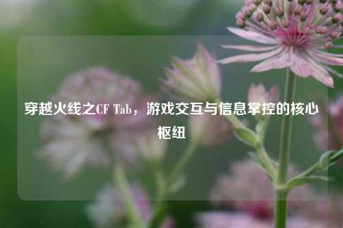 穿越火线之CF Tab，游戏交互与信息掌控的核心枢纽