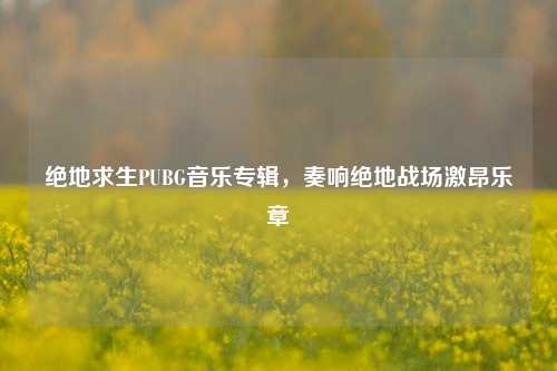 绝地求生PUBG音乐专辑,奏响绝地战场激昂乐章