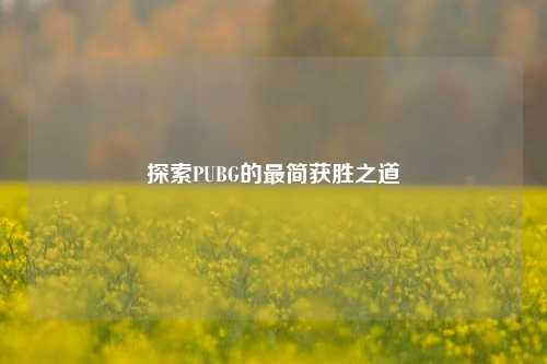 探索PUBG的最简获胜之道