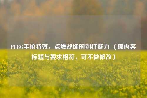 PUBG手枪特效，点燃战场的别样魅力 （原内容标题与要求相符，可不做修改）