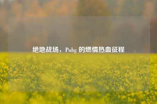 绝地战场，Pubg 的燃情热血征程