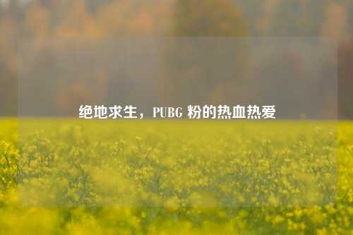 绝地求生,PUBG 粉的热血热爱