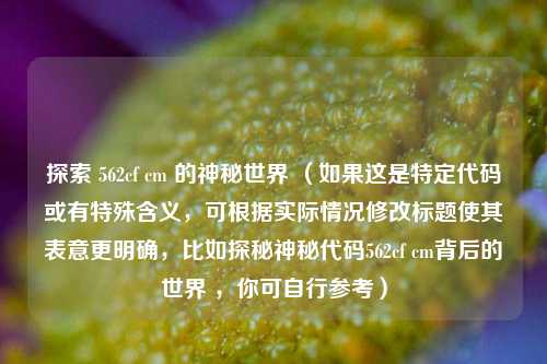探索 562cf cm 的神秘世界 （如果这是特定代码或有特殊含义，可根据实际情况修改标题使其表意更明确，比如探秘神秘代码562cf cm背后的世界 ，你可自行参考）