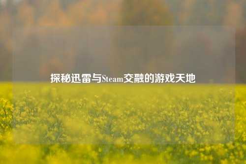 探秘迅雷与Steam交融的游戏天地