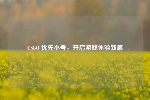 CSGO 优先小号，开启游戏体验新篇