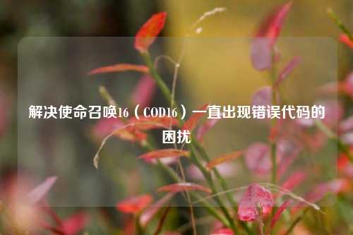 解决使命召唤16（COD16）一直出现错误代码的困扰