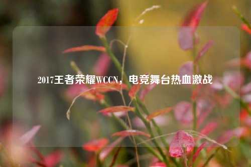 2017王者荣耀WCCN，电竞舞台热血激战