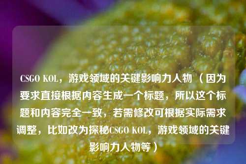 CSGO KOL，游戏领域的关键影响力人物 （因为要求直接根据内容生成一个标题，所以这个标题和内容完全一致，若需修改可根据实际需求调整，比如改为探秘CSGO KOL，游戏领域的关键影响力人物等）