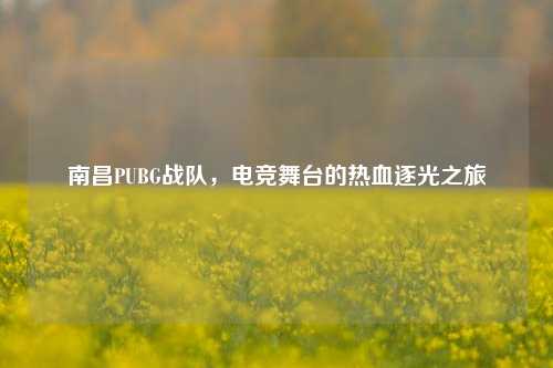 南昌PUBG战队，电竞舞台的热血逐光之旅