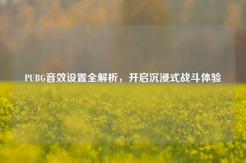 PUBG音效设置全解析，开启沉浸式战斗体验