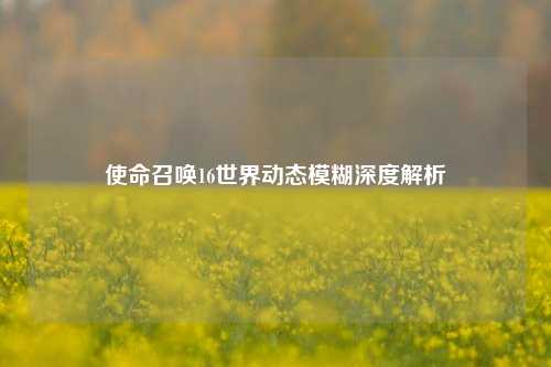 使命召唤16世界动态模糊深度解析