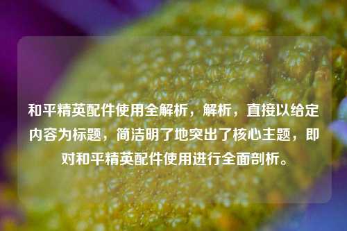 和平精英配件使用全解析，解析，直接以给定内容为标题，简洁明了地突出了核心主题，即对和平精英配件使用进行全面剖析。