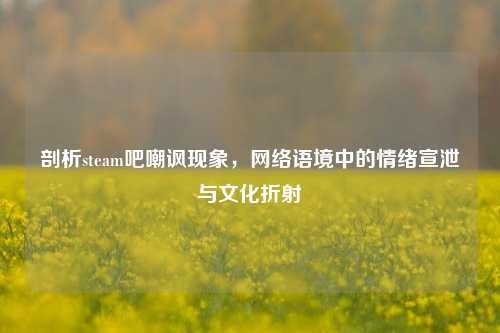 剖析steam吧嘲讽现象，网络语境中的情绪宣泄与文化折射