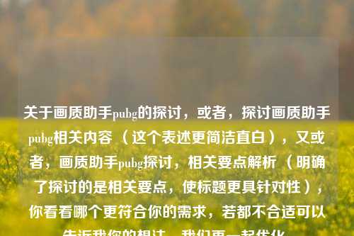 关于画质助手pubg的探讨，或者，探讨画质助手pubg相关内容 （这个表述更简洁直白），又或者，画质助手pubg探讨，相关要点解析 （明确了探讨的是相关要点，使标题更具针对性），你看看哪个更符合你的需求，若都不合适可以告诉我你的想法，我们再一起优化。
