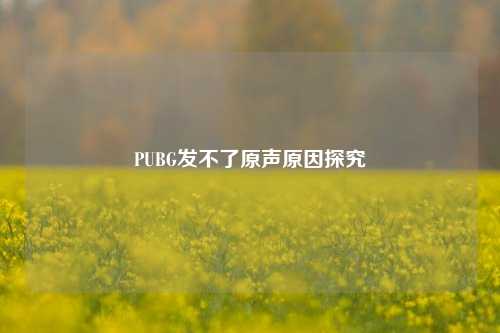 PUBG发不了原声原因探究