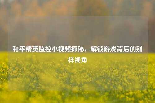 和平精英监控小视频探秘，解锁游戏背后的别样视角