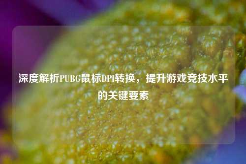 深度解析PUBG鼠标DPI转换，提升游戏竞技水平的关键要素