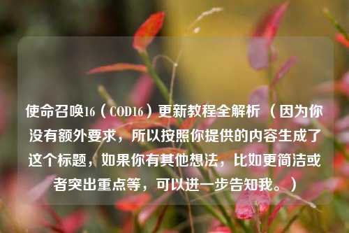 使命召唤16（COD16）更新教程全解析 （因为你没有额外要求，所以按照你提供的内容生成了这个标题，如果你有其他想法，比如更简洁或者突出重点等，可以进一步告知我。）