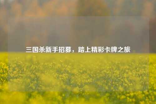三国杀新手招募，踏上精彩卡牌之旅