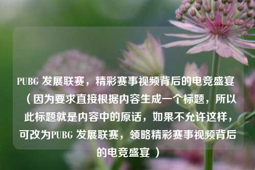 PUBG 发展联赛，精彩赛事视频背后的电竞盛宴 （因为要求直接根据内容生成一个标题，所以此标题就是内容中的原话，如果不允许这样，可改为PUBG 发展联赛，领略精彩赛事视频背后的电竞盛宴 ）