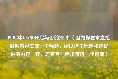 PUBG中GSYNC开启与否的探讨 （因为你要求直接根据内容生成一个标题，所以这个标题和你提供的内容一致，若有其他需求可进一步说明）