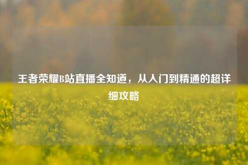 王者荣耀B站直播全知道，从入门到精通的超详细攻略