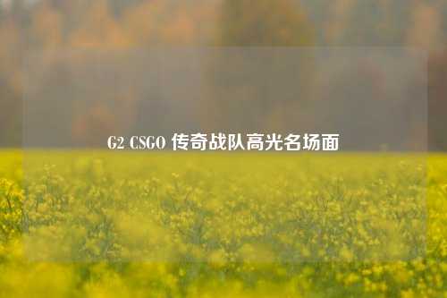G2 CSGO 传奇战队高光名场面