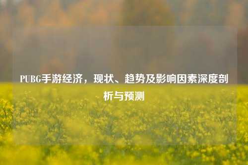 PUBG手游经济，现状、趋势及影响因素深度剖析与预测