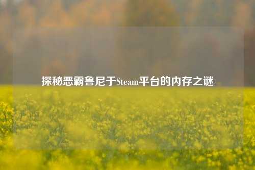 探秘恶霸鲁尼于Steam平台的内存之谜