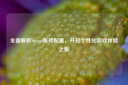 全面解析Steam账号配置，开启个性化游戏体验之旅