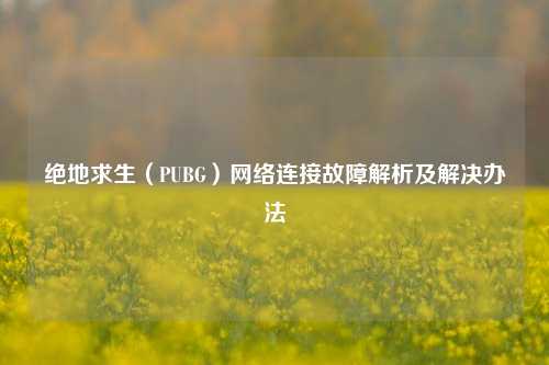 绝地求生（PUBG） *** 连接故障解析及解决办法