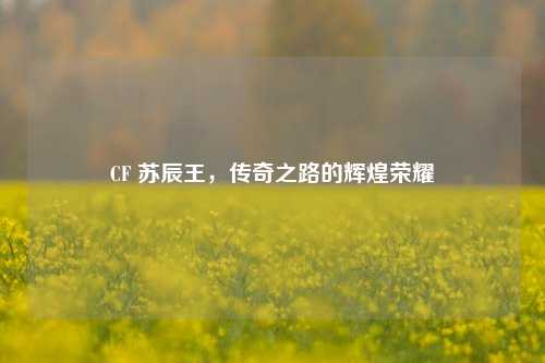 CF 苏辰王，传奇之路的辉煌荣耀