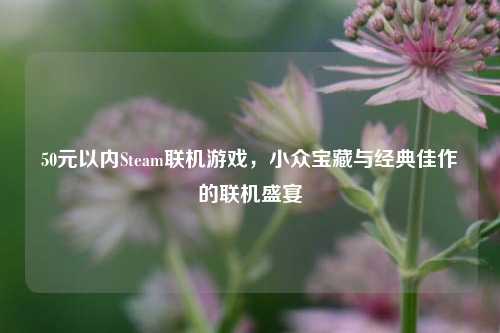 50元以内Steam联机游戏,小众宝藏与经典佳作的联机盛宴