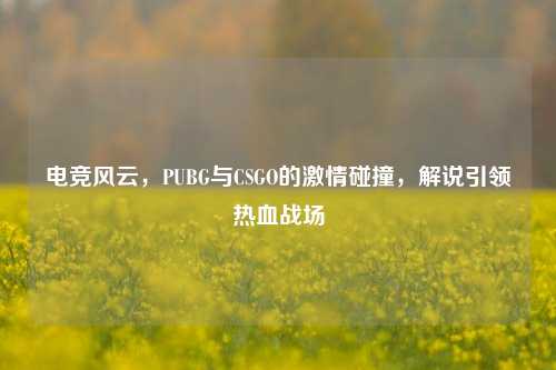 电竞风云，PUBG与CSGO的***碰撞，解说引领热血战场