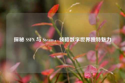 探秘 SSFN 与 Steam，领略数字世界独特魅力