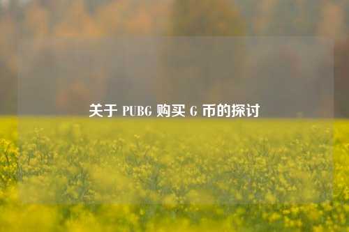 关于 PUBG 购买 G 币的探讨