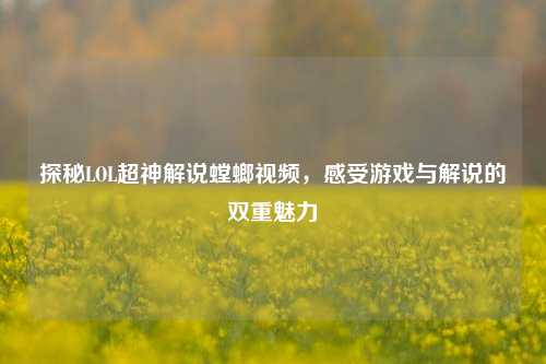 探秘LOL超神解说螳螂视频,感受游戏与解说的双重魅力