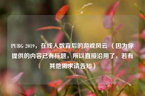 PUBG 2019,在线人数背后的游戏风云 (因为你提供的内容已有标题,所以直接沿用了,若有其他需求请告知)