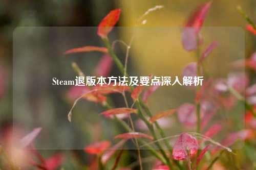 Steam退版本方法及要点深入解析