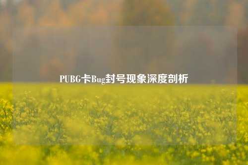 PUBG卡Bug封号现象深度剖析