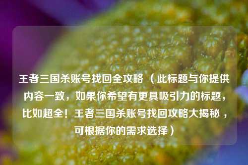 王者三国杀账号找回全攻略 （此标题与你提供内容一致，如果你希望有更具吸引力的标题，比如超全！王者三国杀账号找回攻略大揭秘 ，可根据你的需求选择）