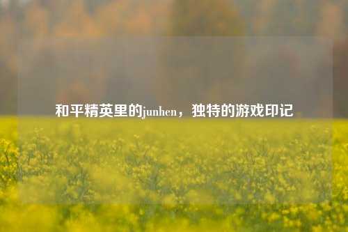 和平精英里的junhen，独特的游戏印记